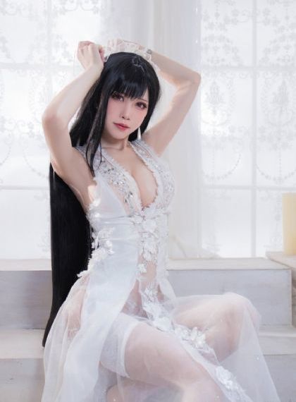 绝命毒师第五季