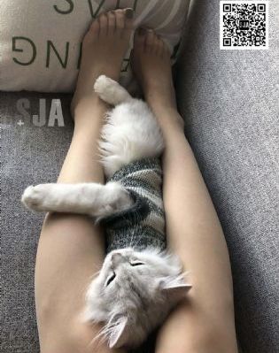 四方馆电视剧免费观看完整版高清