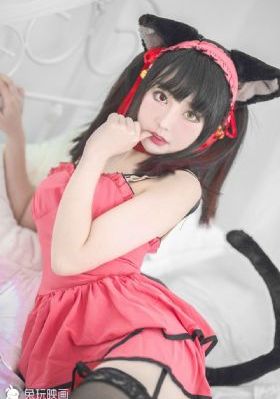 浮图缘电视剧