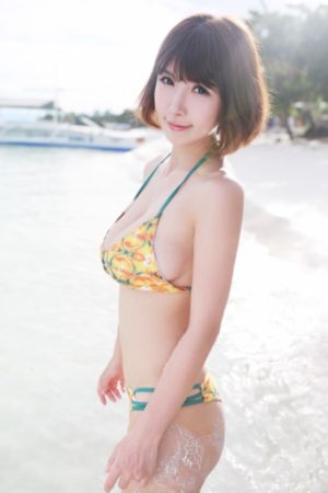 犬父虎子电视剧免费播放