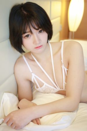 设计者 电影