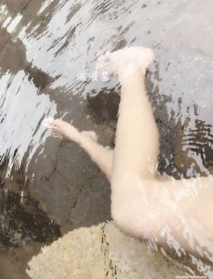 芈月传电视剧多少集